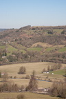 2025-03-n10-7946