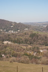 2025-03-n10-7950
