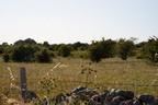 2025-07-n10-8331