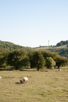 2025-07-n10-8336
