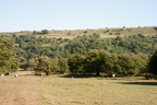 2025-07-n10-8338