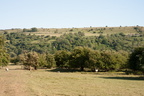 2025-07-n10-8339