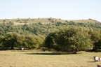 2025-07-n10-8340