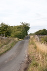 2025-07-n10-0008