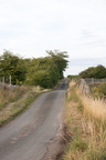 2025-07-n10-0009