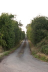 2025-07-n10-0012