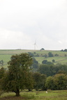 2025-07-n10-0055