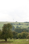 2025-07-n10-0056