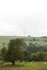 2025-07-n10-0059