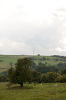 2025-07-n10-0060