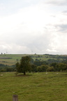 2025-07-n10-0062
