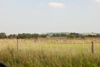 2025-07-n10-0241
