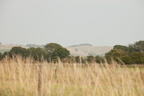 2025-07-n10-0242