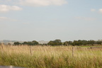 2025-07-n10-0243