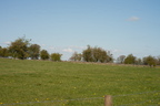 2026-04-n5-0689