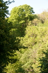2026-05-n10-1219