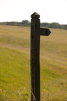 2026-06-n10-1561