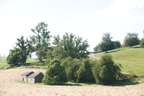 2026-06-n10-2081