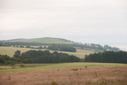 2026-07-n10-2933