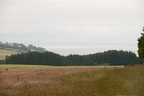 2026-07-n10-2934