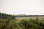 2026-07-n10-2940