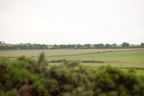2026-07-n10-2941