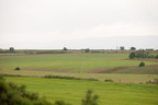 2026-07-n10-2943