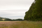 2026-07-n10-3026