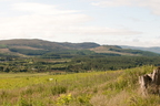 2026-07-n10-3065