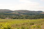2026-07-n10-3066