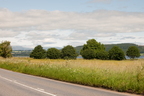 2026-07-n10-3343