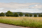 2026-07-n10-3344