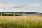 2026-07-n10-3346