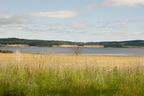 2026-07-n10-3347
