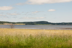 2026-07-n10-3348