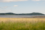 2026-07-n10-3349