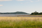 2026-07-n10-3350