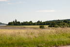 2026-07-n10-3352