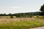 2026-07-n10-3353