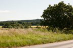 2026-07-n10-3354