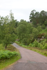 2026-07-n10-3498