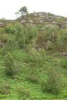 2026-07-n10-3502