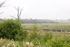 2026-07-n10-4035