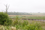 2026-07-n10-4036