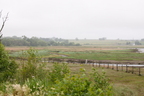 2026-07-n10-4037