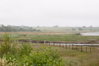 2026-07-n10-4038