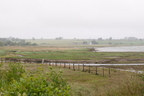 2026-07-n10-4039