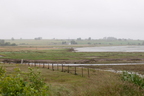 2026-07-n10-4040