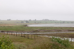 2026-07-n10-4041