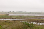 2026-07-n10-4042